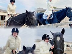 -北京群众马术培训基地