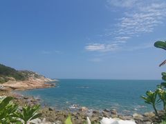 -广东惠东海龟国家级自然保护区