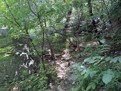 -阳台山自然风景区