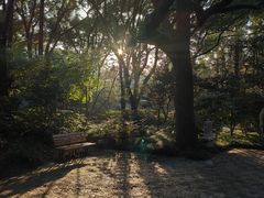 -上海醉白池公园