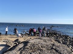 -东戴河风景区-止锚湾