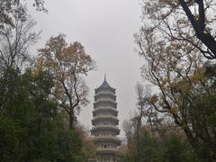 -灵谷景区