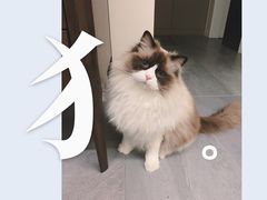 -美联众合动物医院·24h京西诊疗中心