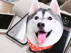 -Apple零售店(深圳益田假日广场店)