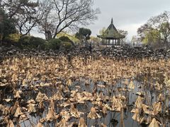 -无锡蠡湖国家湿地公园-蠡园
