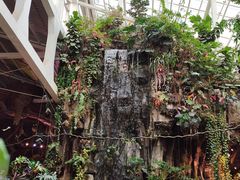 -正佳雨林生态植物园