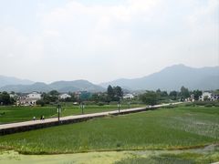 -黄牛肉馆·皖南土菜