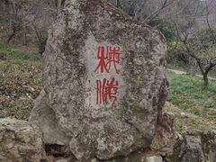 -无锡梅园公园