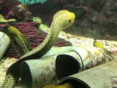 -北戴河圣蓝海洋公园