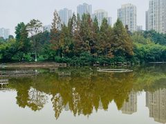 -龙头寺公园