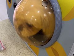 -天宠宠物医院24小时·急重症诊疗中心·全科·腔镜特色(和平分院)