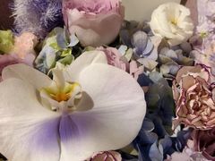 -海底捞火锅(长沙华创国际广场店)