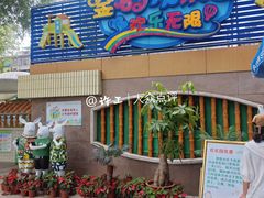 -金砂公园