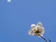 -堤角公园