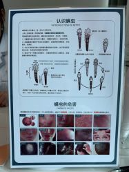 点击看大图 -SKIN79皮肤管理中心