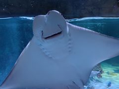 -沈阳海洋探索中心