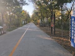 -西青郊野公园