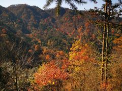 -燕子河大峡谷天坑仙境