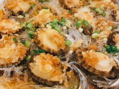 小鲍鱼-顺风海鲜港(金玉兰店)