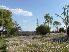 -嬉乐湾休闲旅游区