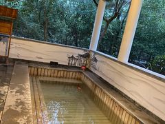 -深业半汤御泉庄温泉