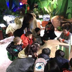 -酷嗒动物文化乐园(cutezoo西溪乐天城店)