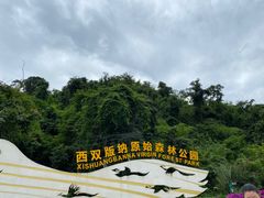 -西双版纳原始森林公园
