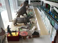 -中国第四纪冰川遗迹陈列馆