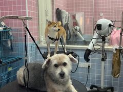 -吉友粥底火锅(方斜路店)