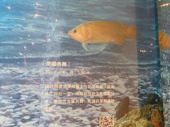 -诺莱仕游艇会