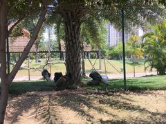 -灵玲国际马戏城