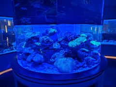 -上和臻品中国菜(花园街店)