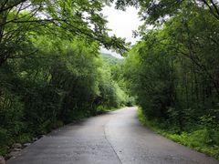 -青峰峡国家森林公园