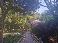 -广州市白云山风景名胜区