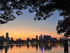 -羊山湖公园