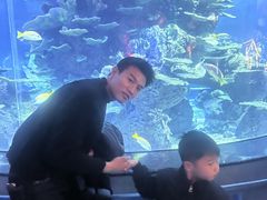 -泉城欧乐堡海洋极地世界