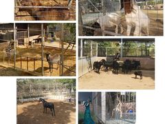 -迪茵湖田家舍生态农场