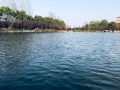 -武汉紫薇都市田园