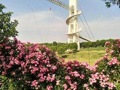 -武汉紫薇都市田园