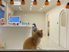 -堂屋糖水店(愚园店)