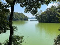 -广州市流溪河国家森林公园