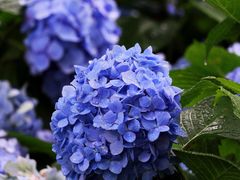 -上海吴淞炮台湾国家湿地公园