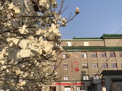 -中国中医科学院西苑医院(本部)