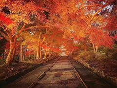 -醍醐寺