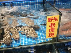 -珠光市场(文德南路)