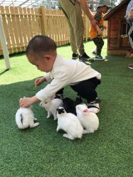 -萌宠亲子动物乐园(槐房万达店)