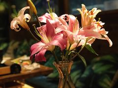 -阿鹏故事野生菌火锅(古城店)