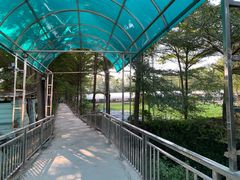 -新塘水果乐园(东洲大道店)