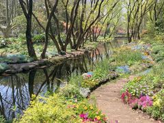 -上海共青森林公园