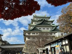 -名古屋城